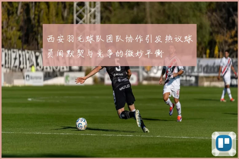 西安羽毛球队团队协作引发热议球员间默契与竞争的微妙平衡