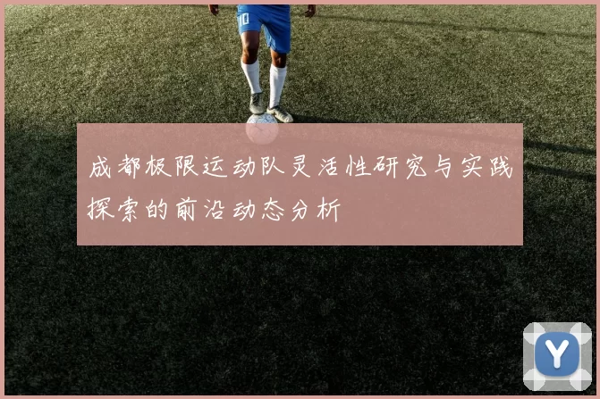 成都极限运动队灵活性研究与实践探索的前沿动态分析