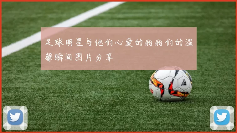 足球明星与他们心爱的狗狗们的温馨瞬间图片分享