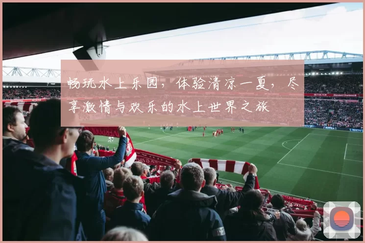 畅玩水上乐园，体验清凉一夏，尽享激情与欢乐的水上世界之旅