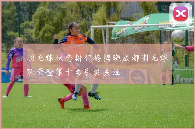 羽毛球状态排行榜揭晓成都羽毛球队荣登第十名引发关注
