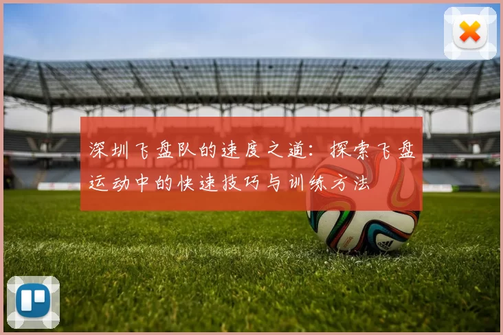 深圳飞盘队的速度之道：探索飞盘运动中的快速技巧与训练方法