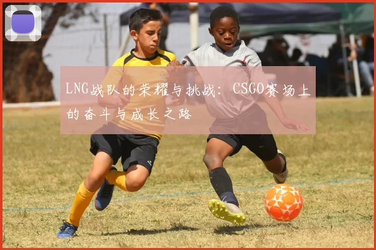 LNG战队的荣耀与挑战：CSGO赛场上的奋斗与成长之路