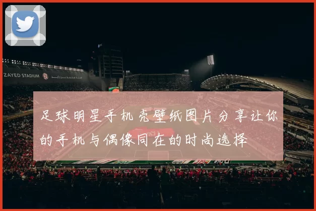 足球明星手机壳壁纸图片分享让你的手机与偶像同在的时尚选择
