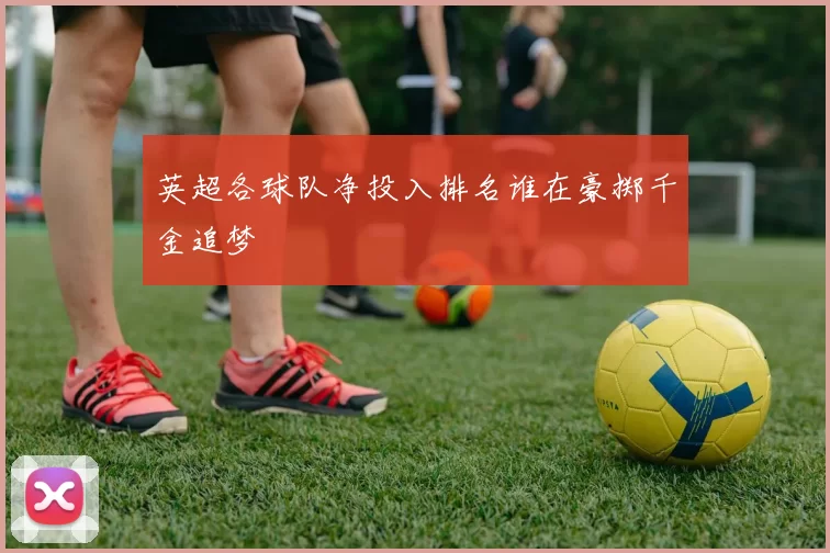 英超各球队净投入排名谁在豪掷千金追梦