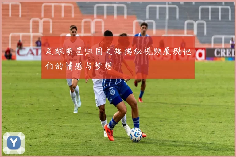 足球明星归国之路揭秘视频展现他们的情感与梦想