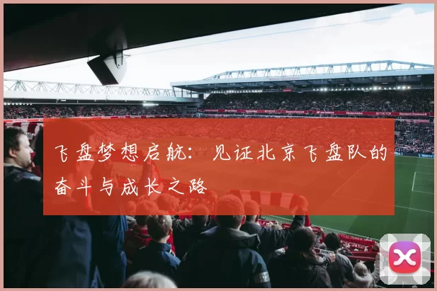 飞盘梦想启航：见证北京飞盘队的奋斗与成长之路