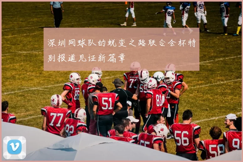 深圳网球队的蜕变之路联合会杯特别报道见证新篇章