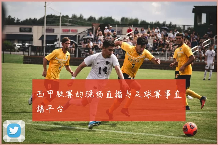 西甲联赛的现场直播与足球赛事直播平台