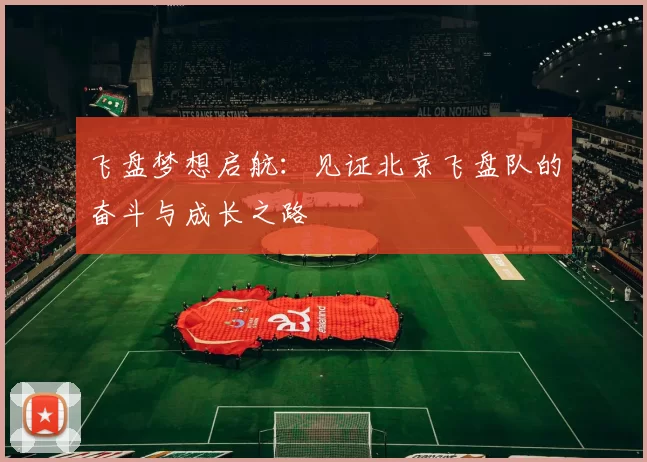 飞盘梦想启航：见证北京飞盘队的奋斗与成长之路