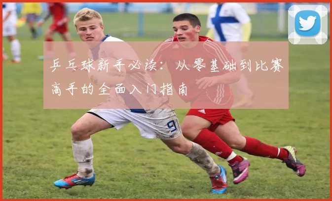 乒乓球新手必读：从零基础到比赛高手的全面入门指南
