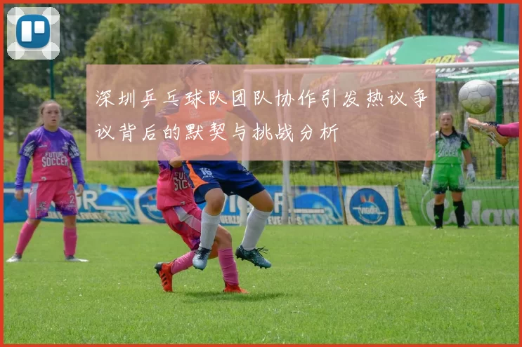 深圳乒乓球队团队协作引发热议争议背后的默契与挑战分析