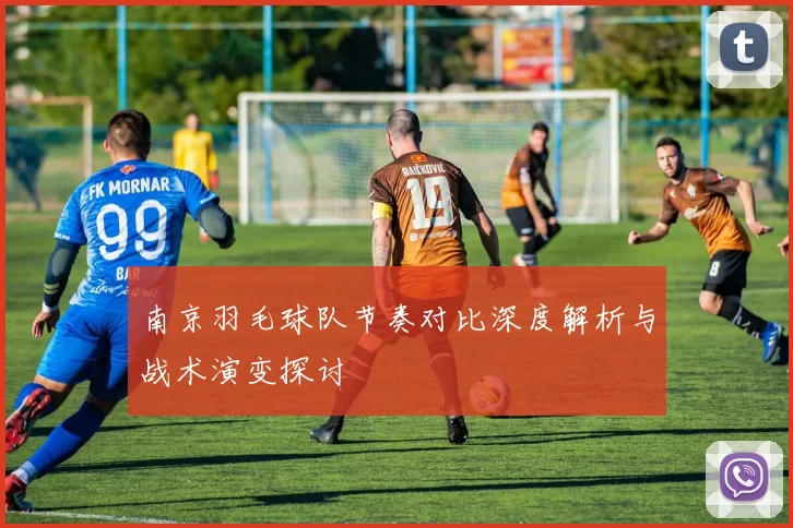 南京羽毛球队节奏对比深度解析与战术演变探讨